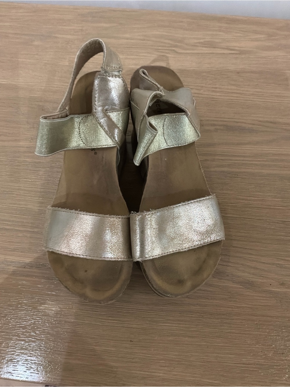 Pierre Dumas Metallic Gold Wedge Sandals